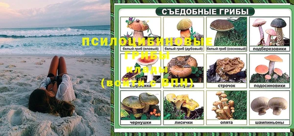 хмурый Няндома