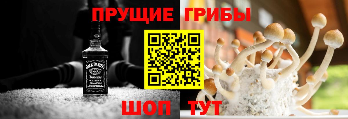 Лиски  Галлюциногенные грибы Cubensis  Вход с VPN 